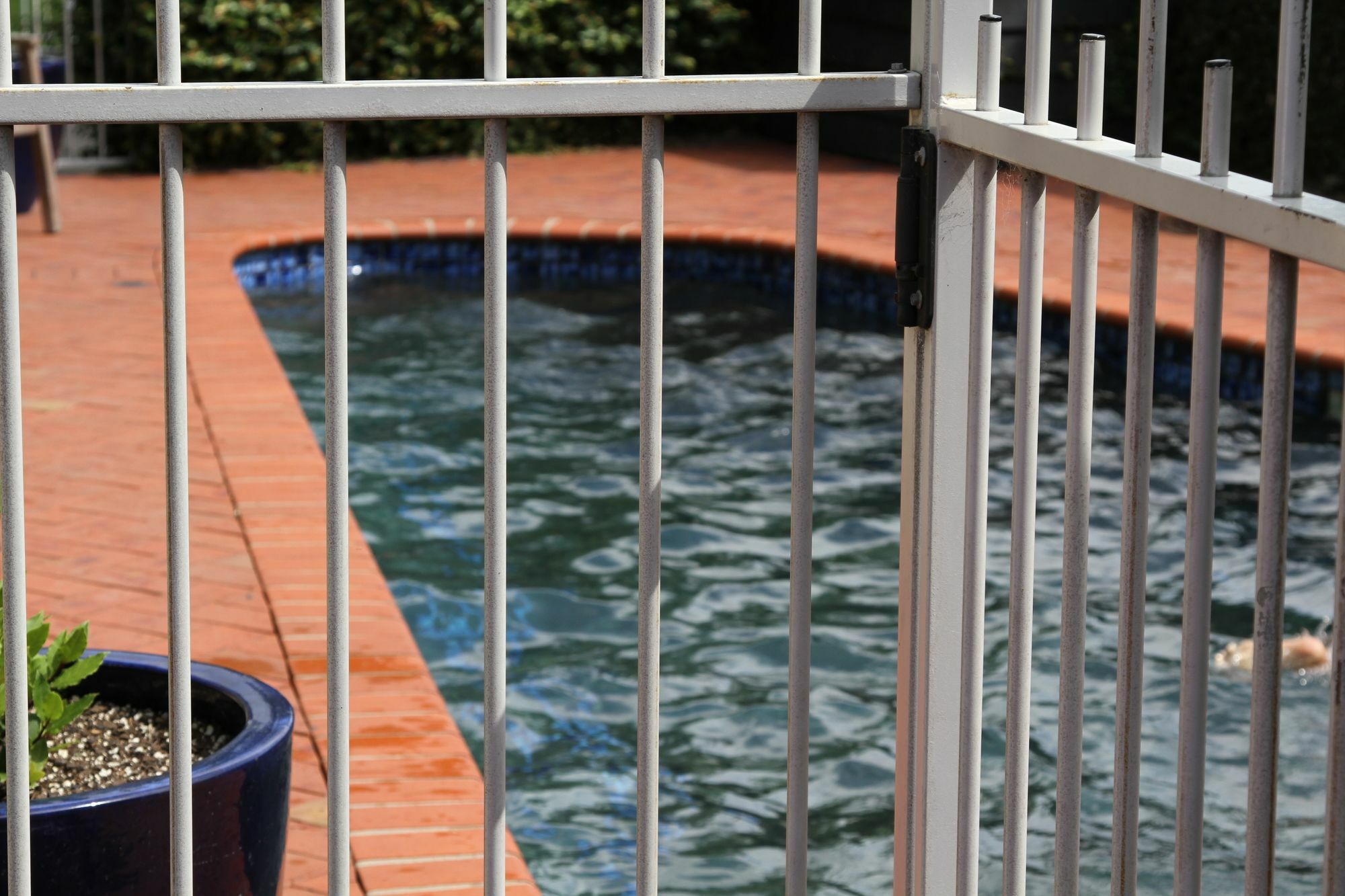 Quantum Lodge Motor Inn Hamilton Ngoại thất bức ảnh